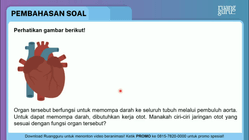 Pembahasan