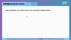 Pembahasan