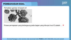 Pembahasan