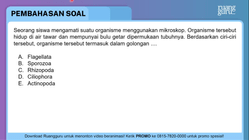 Pembahasan