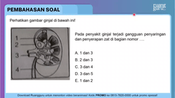 Pembahasan