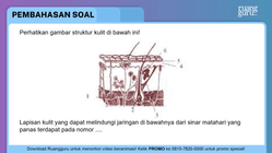 Pembahasan