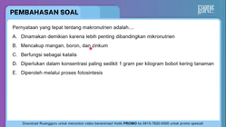 Pembahasan