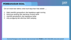 Pembahasan