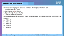 Ilmu Pengetahuan dan Gokil gokilan: Kegunaan Setiap Tanaman Dalam