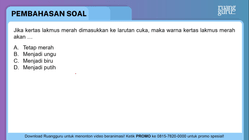 Pembahasan