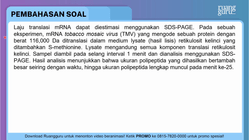 Pembahasan