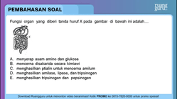 Pembahasan
