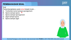 Pembahasan