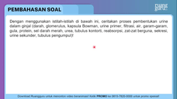 Pembahasan