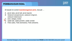 Pembahasan