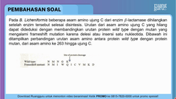 Pembahasan