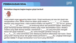 Pembahasan