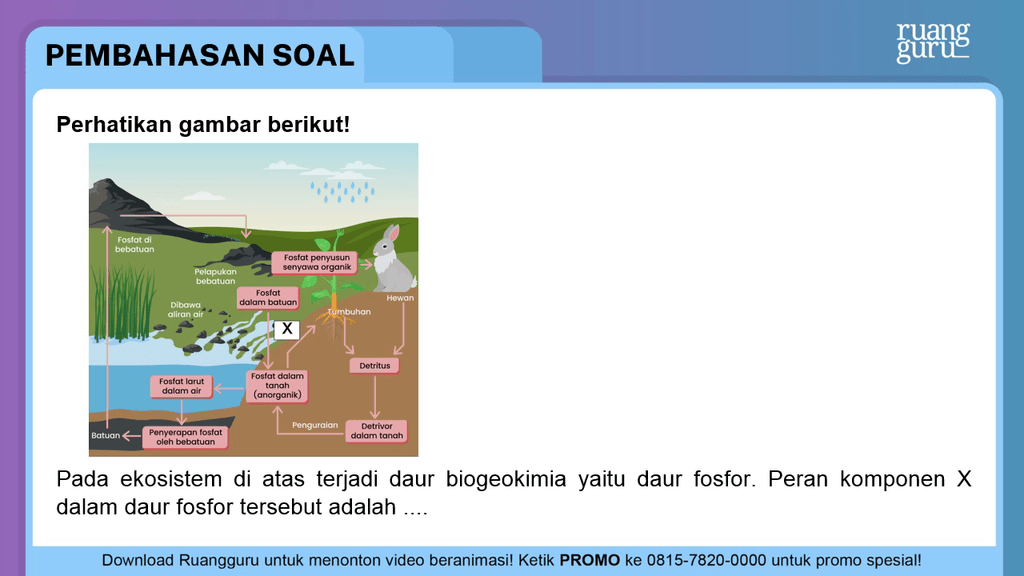 Perhatikan Gambar Berikut! Pada Ekosistem Di...