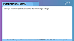 Pembahasan
