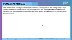 Pembahasan