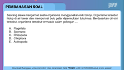 Pembahasan