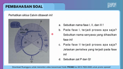 Pembahasan