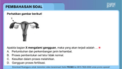 Pembahasan