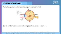 Pembahasan