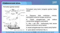 Pembahasan