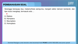 Pembahasan