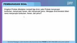 Pembahasan