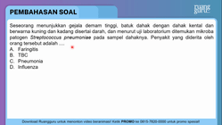 Pembahasan
