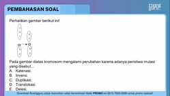 Pembahasan
