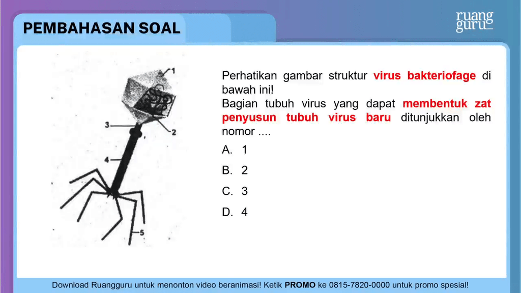 Perhatikan Gambar Struktur Virus Bakteriofage Di B...