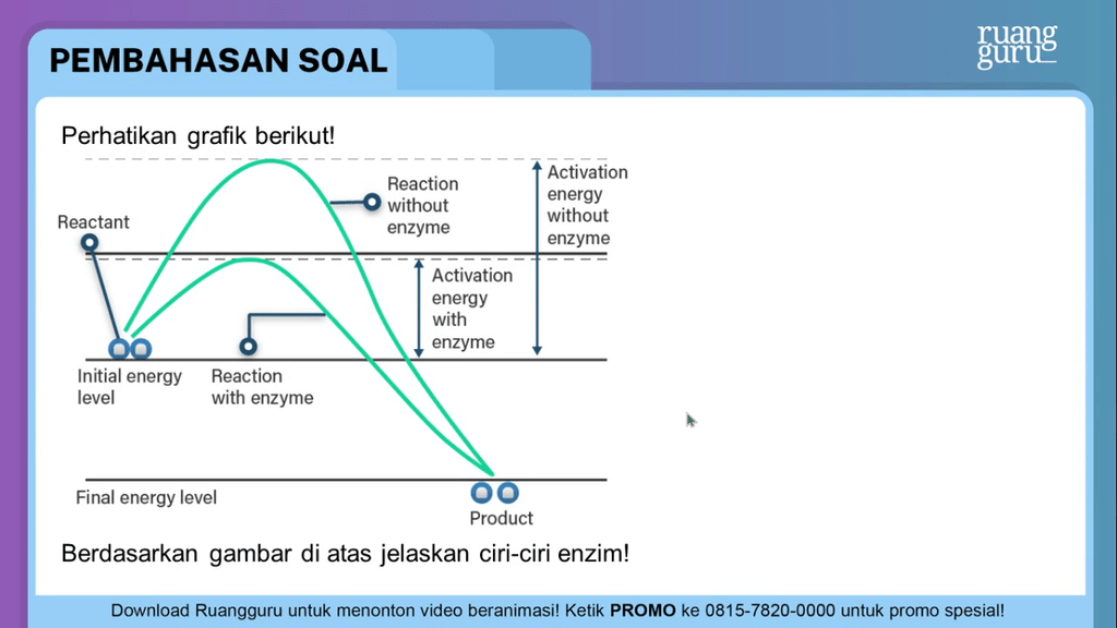 Fungsi Enzim Sebagai Biokatalisator Fungsi Enzim Sebagai Biokatalisator