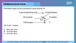 Pembahasan