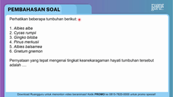 Pembahasan