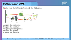 Pembahasan