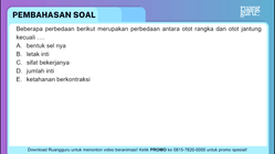 Pembahasan