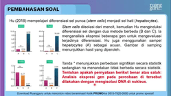 Pembahasan