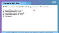 Pembahasan