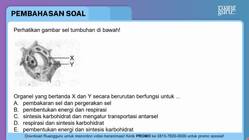 Pembahasan