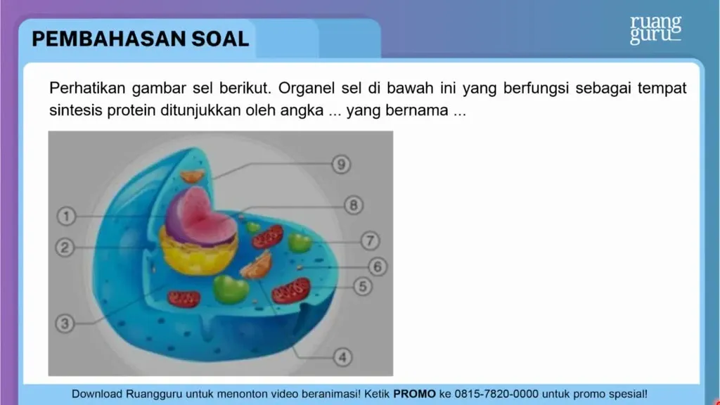 Perhatikan Gambar Sel Berikut. Organel Sel Di Bawa...