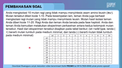 Pembahasan