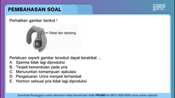 Pembahasan