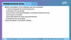 Pembahasan