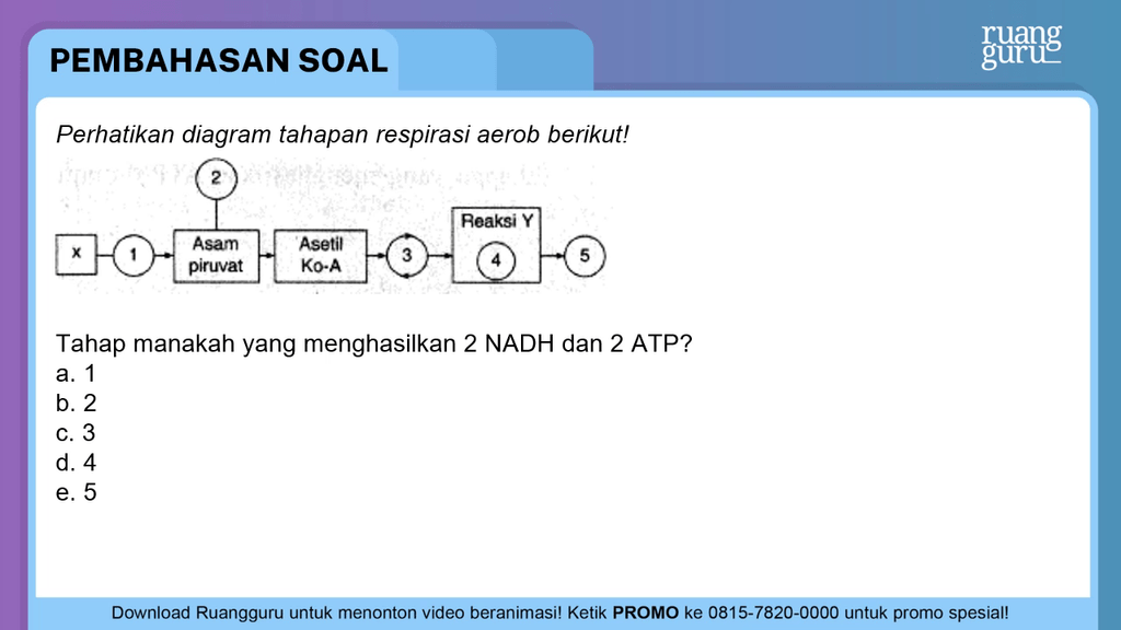 Perhatikan Diagram Tahapan Respirasi Aerob Berikut...