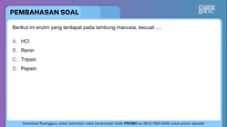 Pembahasan
