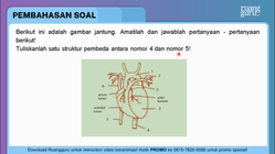 Pembahasan