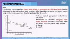 Pembahasan