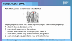Pembahasan