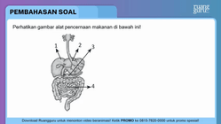 Pembahasan