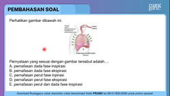 Pembahasan