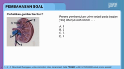 Pembahasan